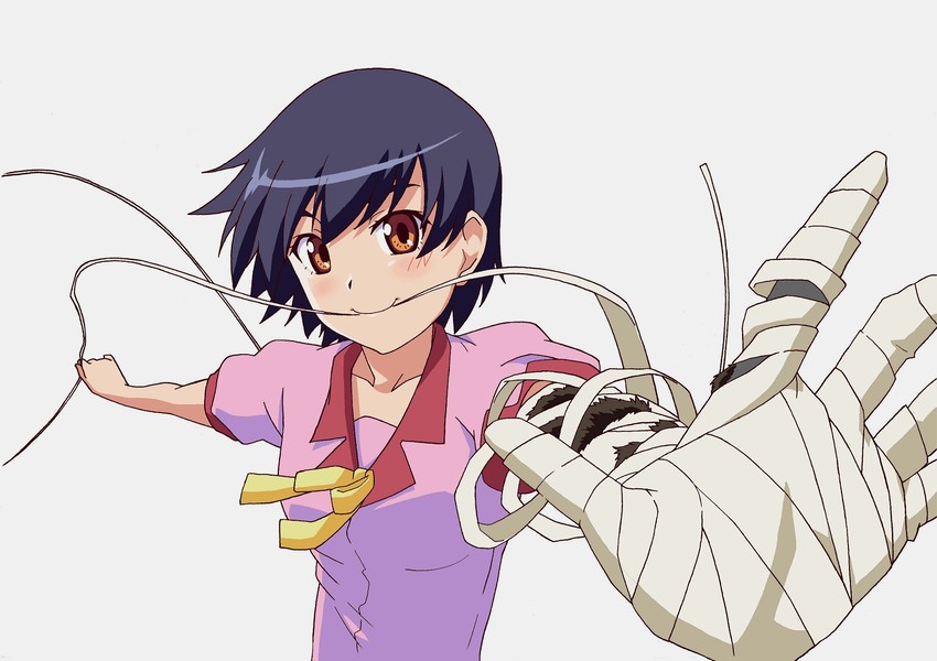 kanbaru suruga (monogatari and 1 more) drawn by kiyukiyutan
