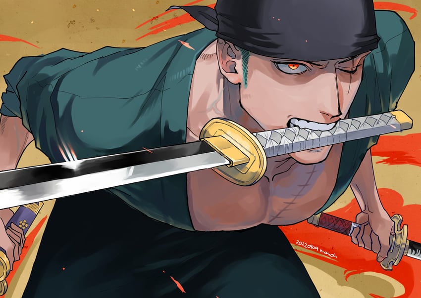 roronoa zoro (one piece) drawn by momoh_jiyucho