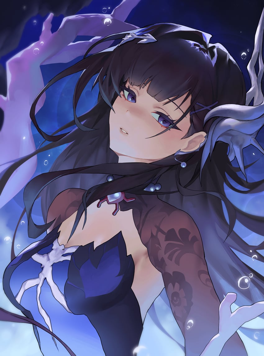 hysilens (honkai and 1 more) drawn by nery_(nerypaint)