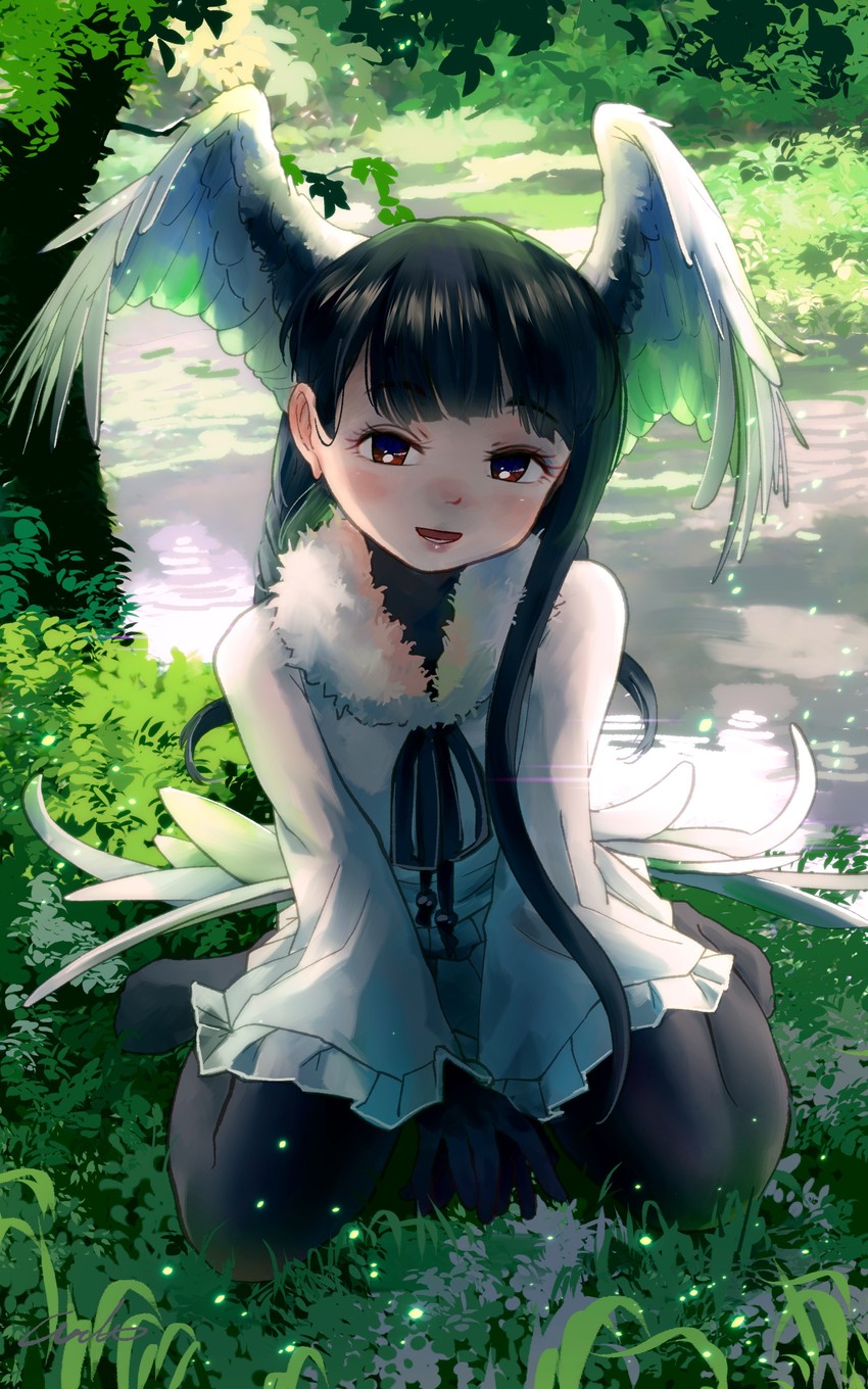 black-headed ibis (kemono friends) drawn by welt_(kinsei_koutenkyoku)