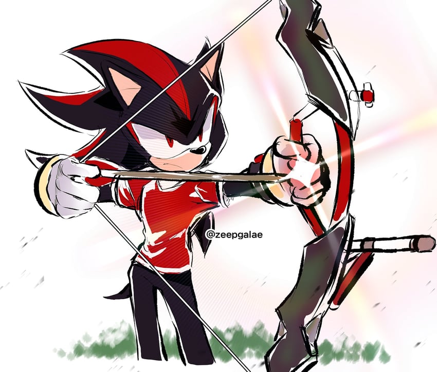 shadow the hedgehog (sonic and 2 more) drawn by shapam_(zeepgalae)