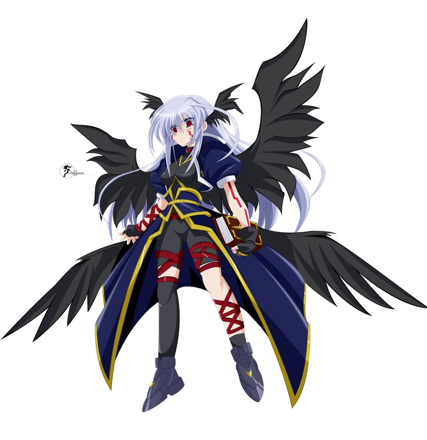 reinforce and tome of the night sky (lyrical nanoha and 2 more) drawn by solwyvern