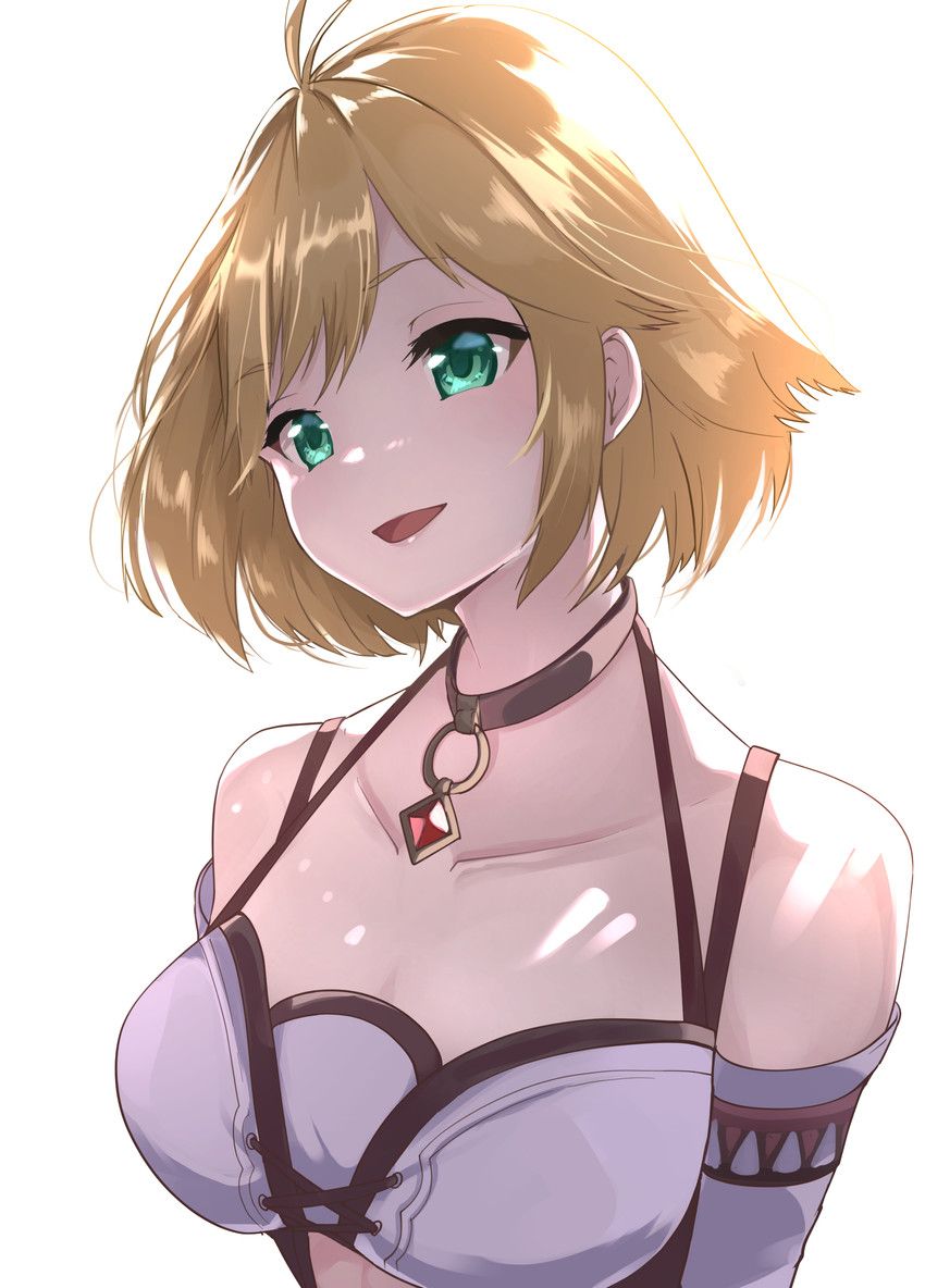 fiora (xenoblade chronicles and 1 more) drawn by risumi_(taka-fallcherryblossom)