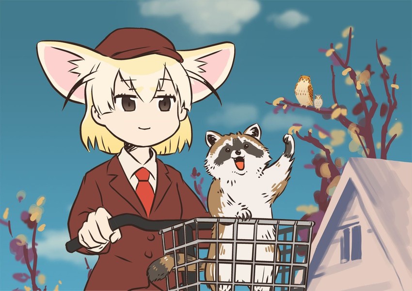 common raccoon, fennec, northern white-faced owl, and eurasian eagle owl (kemono friends and 1 more) drawn by taoi_(taoi58829762)