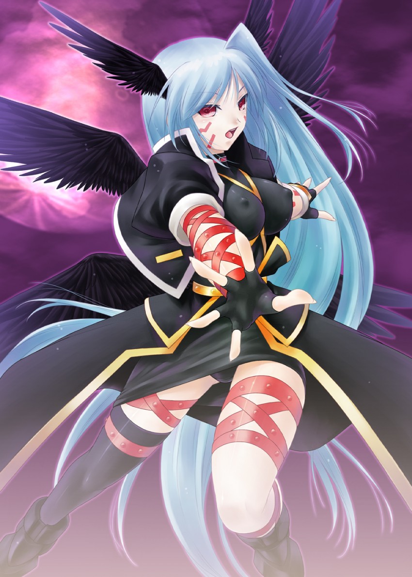 reinforce (lyrical nanoha and 2 more) drawn by ayato