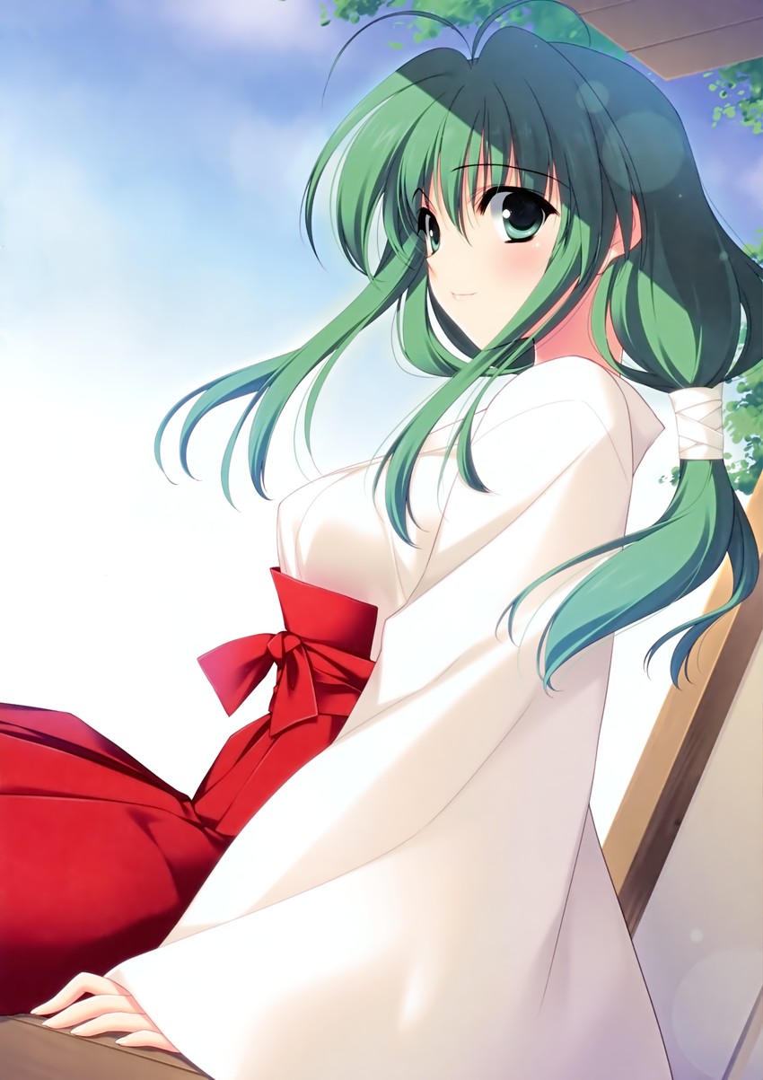 shiki midori (r g b) drawn by suzuhira_hiro