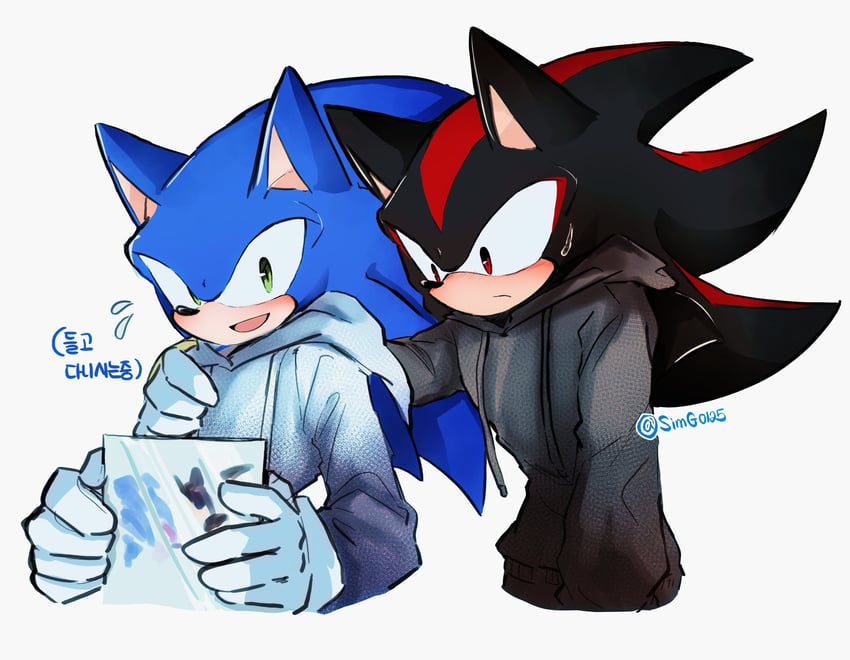 sonic the hedgehog and shadow the hedgehog (sonic) drawn by shapam_(zeepgalae)