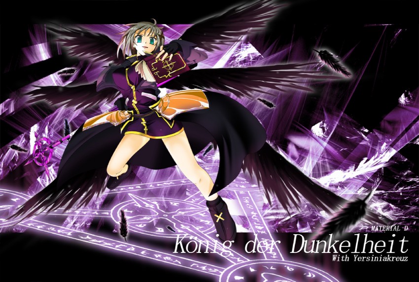 lord dearche, yersiniakreuz, and tome of the purple sky (lyrical nanoha and 3 more) drawn by eternalchaos