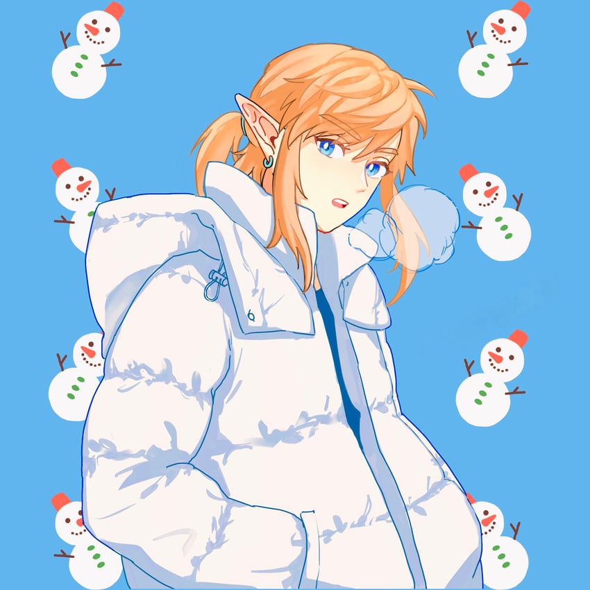 link (the legend of zelda and 1 more) drawn by ruya_pim
