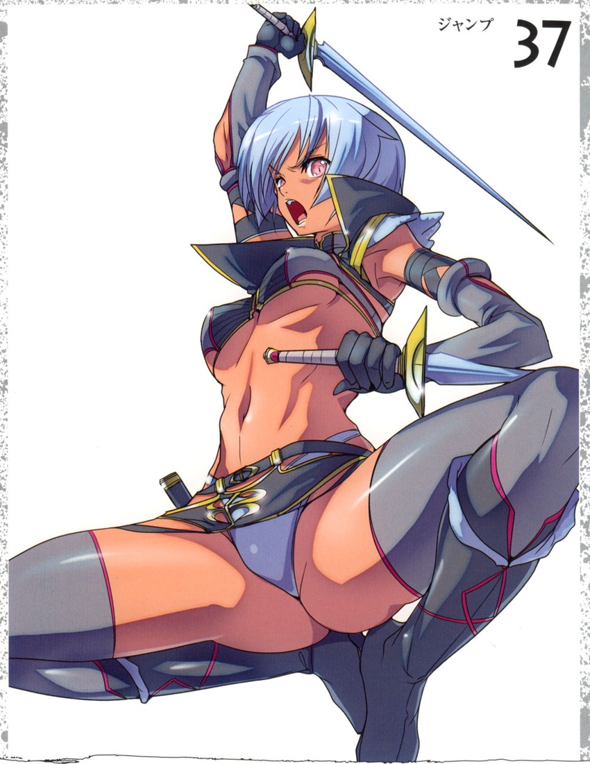 irma and fang assassin irma (queen's blade) drawn by akaga_hirotaka