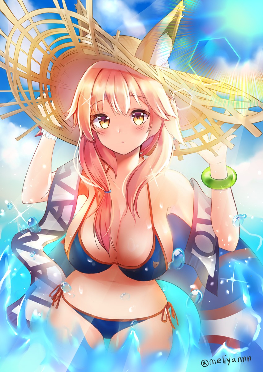 tamamo and tamamo no mae (fate and 1 more) drawn by meliyannn