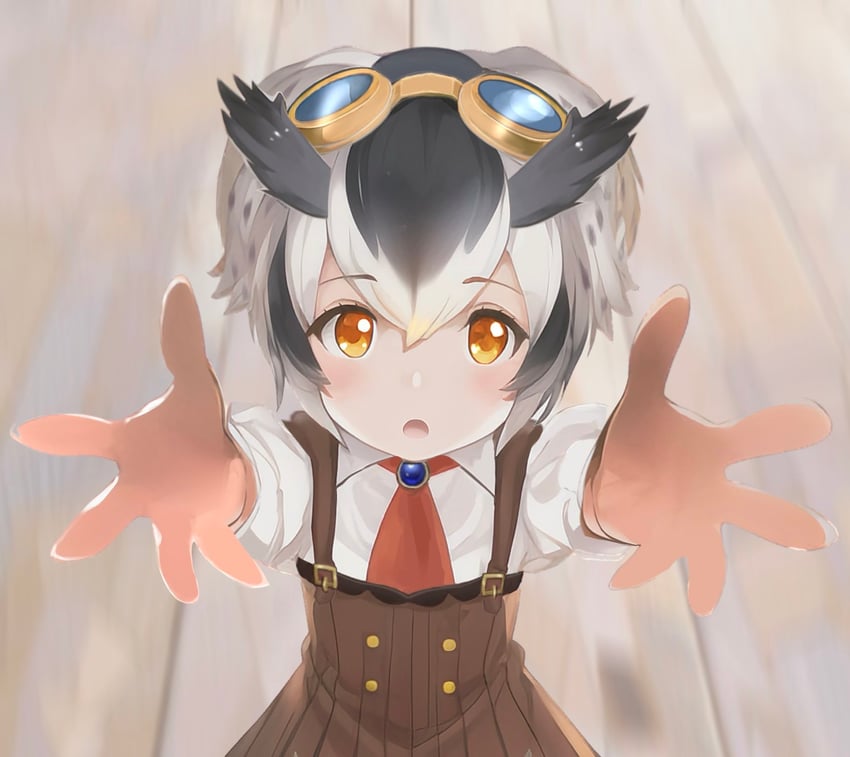 northern white-faced owl (kemono friends and 1 more) drawn by ieinu_account