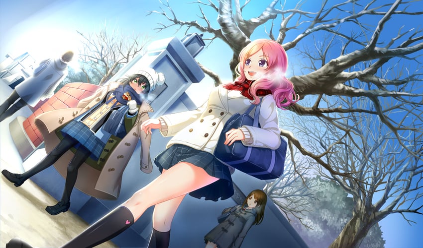 hanayama emi and akino komugi (cinderella series and 1 more)