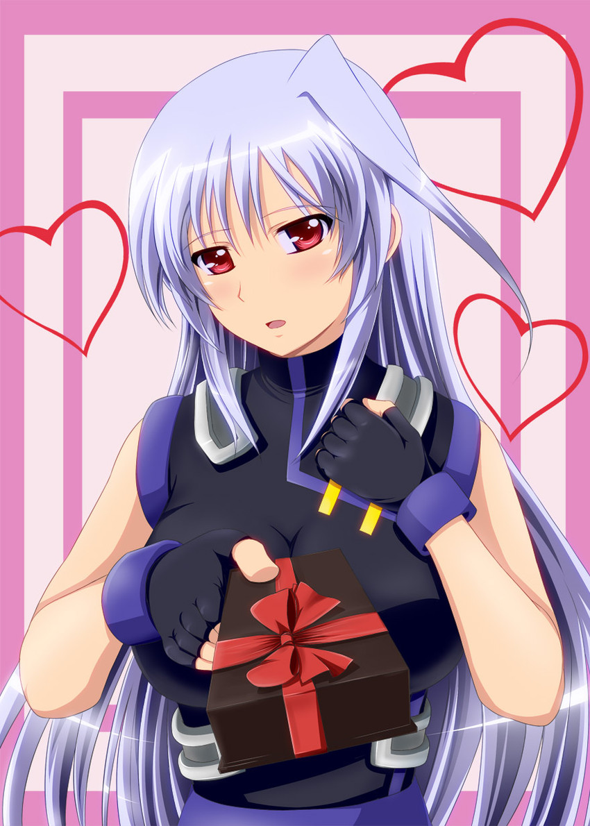 reinforce (lyrical nanoha and 2 more) drawn by inoshira