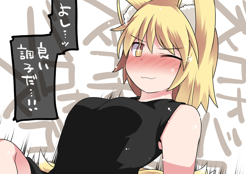 yakumo ran (touhou) drawn by hammer_(sunset_beach)