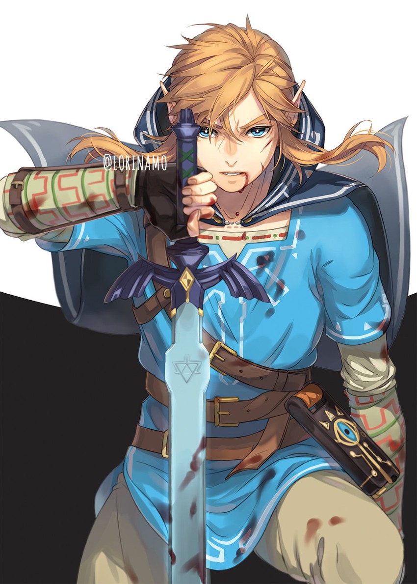 link (the legend of zelda and 1 more) drawn by eorinamo