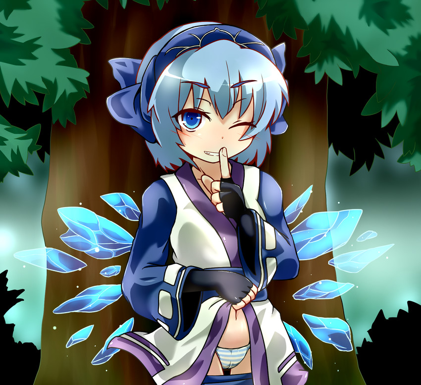 cirno and rimururu (touhou and 1 more) drawn by hato_no_suisou