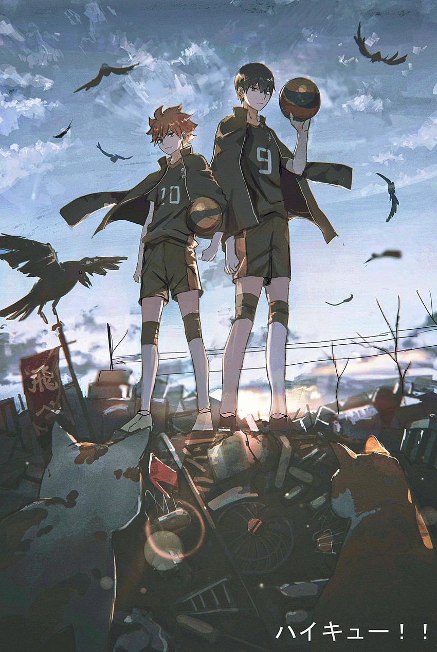 hinata shouyou and kageyama tobio (haikyuu!!) drawn by lococo:p