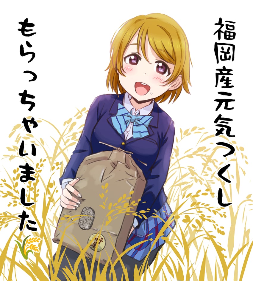 koizumi hanayo (love live! and 1 more) drawn by maruyo