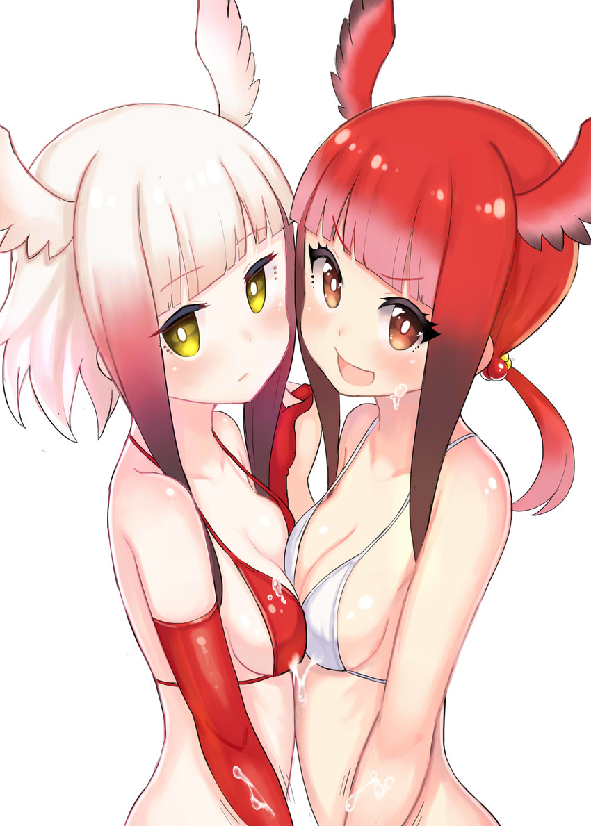 japanese crested ibis and scarlet ibis (kemono friends) drawn by atg_(wttoo0202)