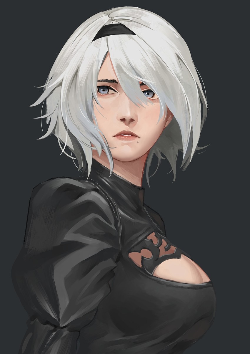 2b (nier and 1 more) drawn by jun_project