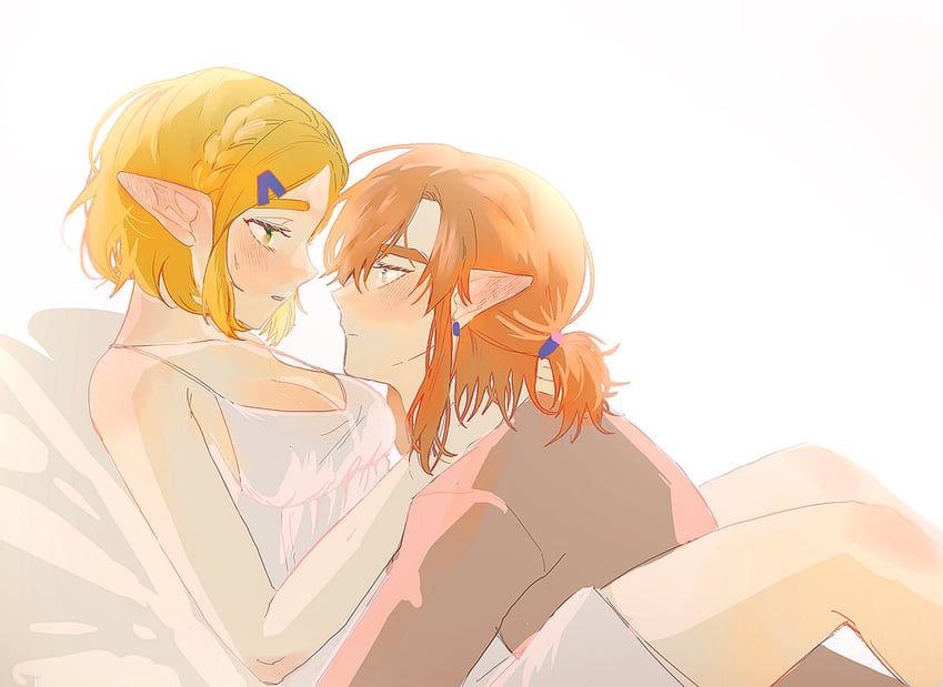 link and princess zelda (the legend of zelda and 1 more) drawn by big_egg526