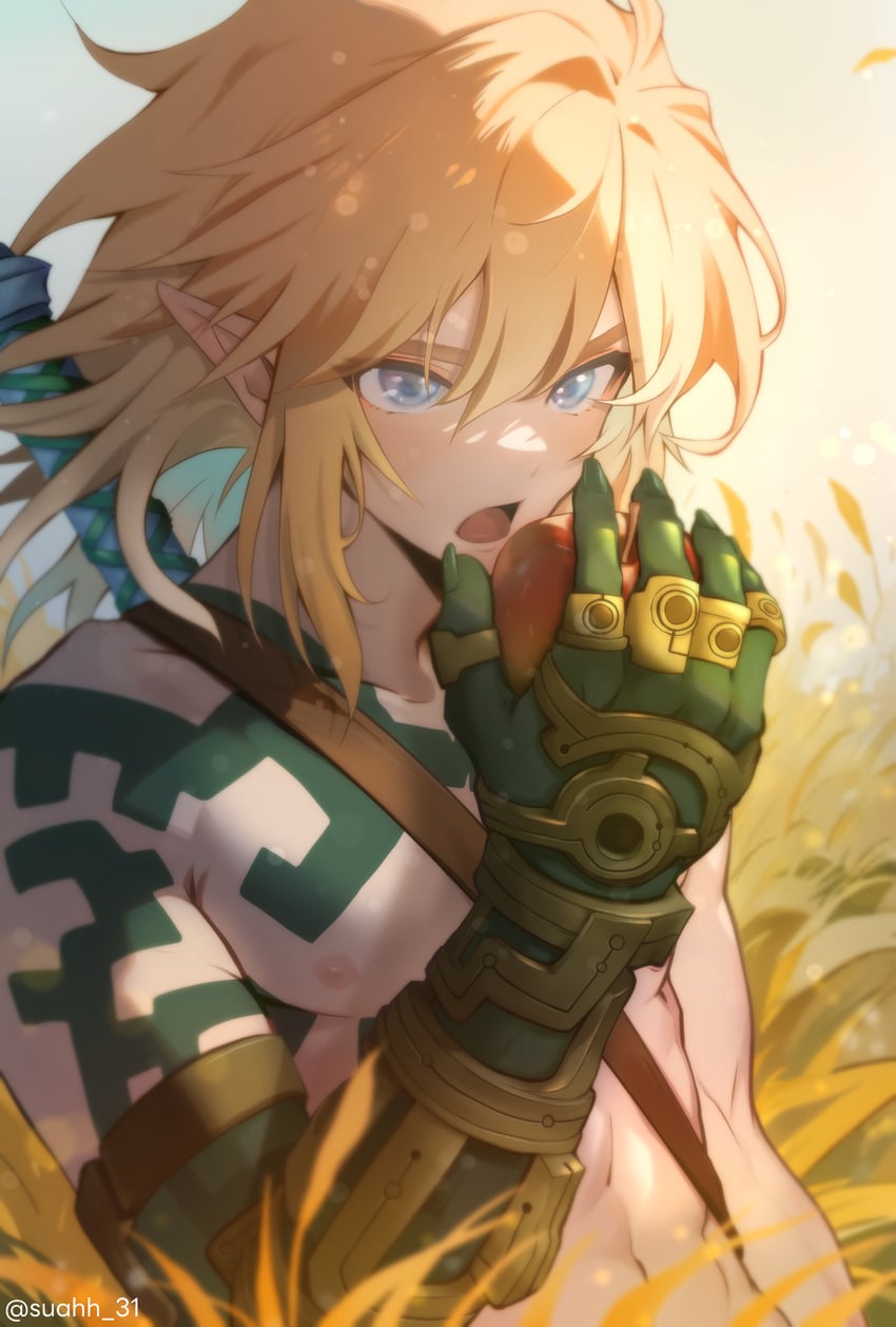 link (the legend of zelda and 1 more) drawn by suahh