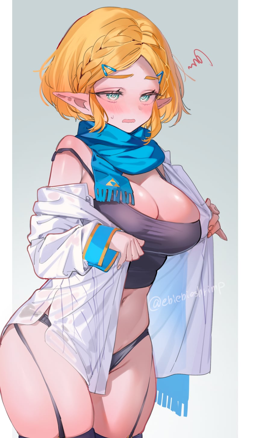 princess zelda (the legend of zelda and 1 more) drawn by shuri_(84k)