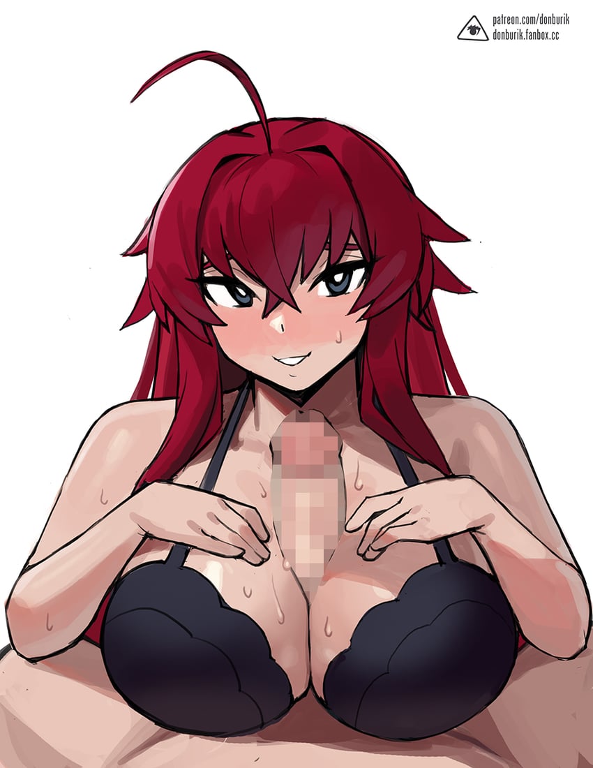 rias gremory (high school dxd) drawn by donburi_(donburikazoku)