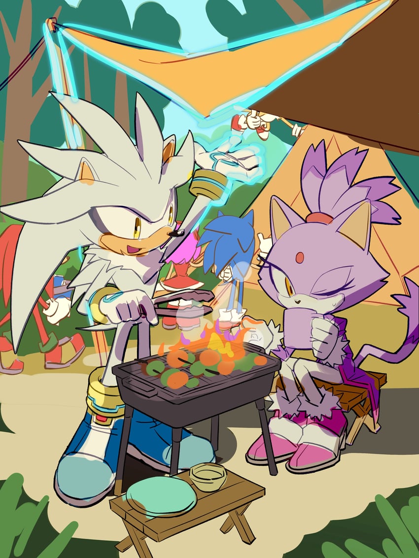sonic the hedgehog, amy rose, blaze the cat, tails, knuckles the echidna, and 1 more (sonic) drawn by miijiu