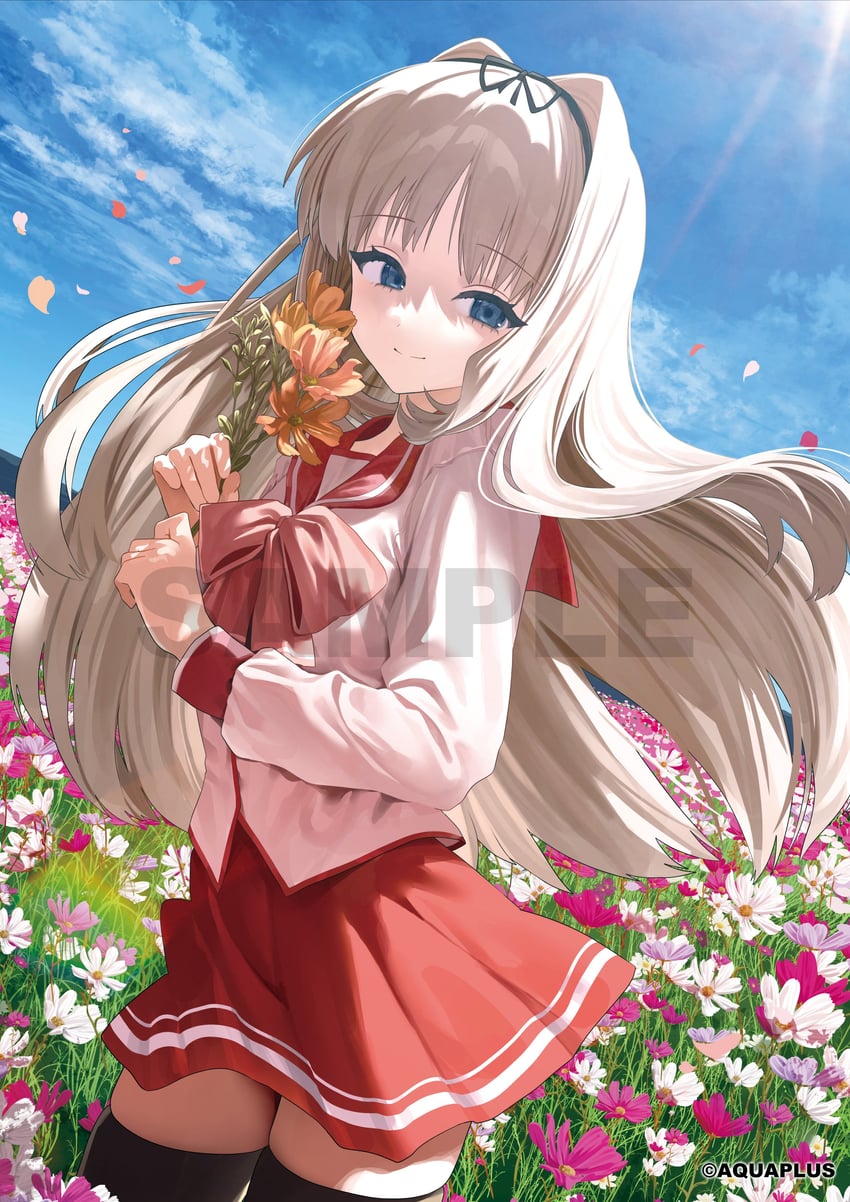 kusugawa sasara (to heart and 1 more) drawn by tachibana_wataru_(123tsuki)