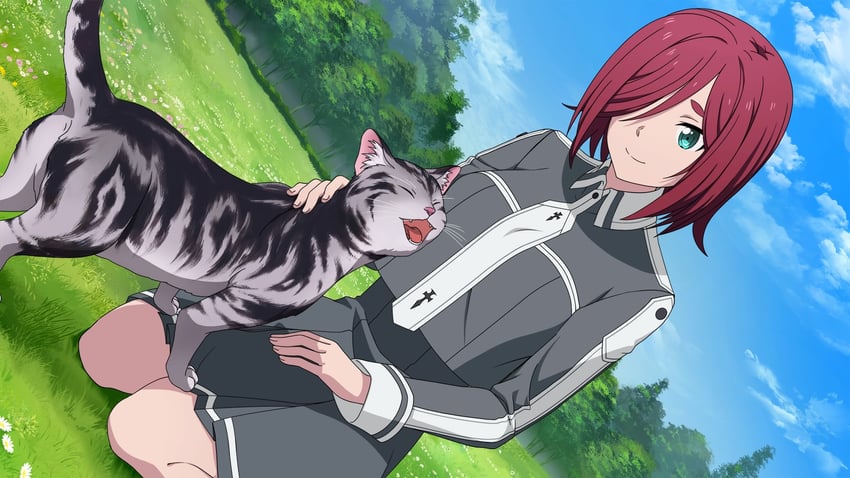 medina orthinanos (sword art online and 2 more)