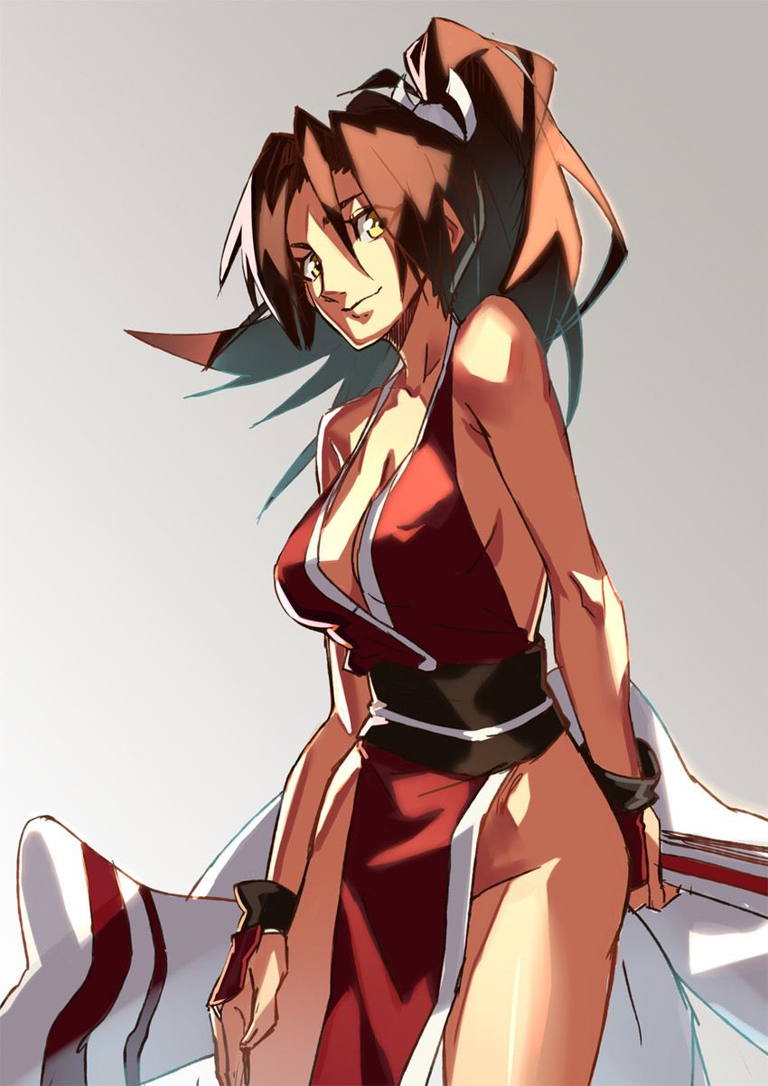 shiranui mai (the king of fighters and 1 more) drawn by l.k
