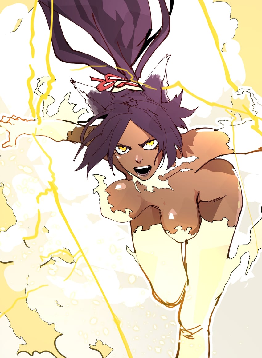 shihouin yoruichi (bleach and 1 more) drawn by isaacchief300