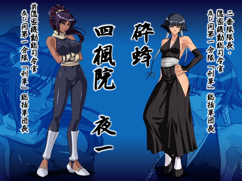 shihouin yoruichi and sui-feng (bleach) drawn by kagami_hirotaka
