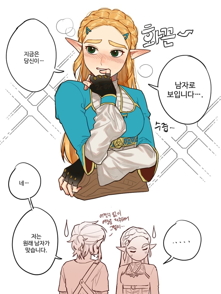 link and princess zelda (the legend of zelda and 1 more) drawn by zeldm