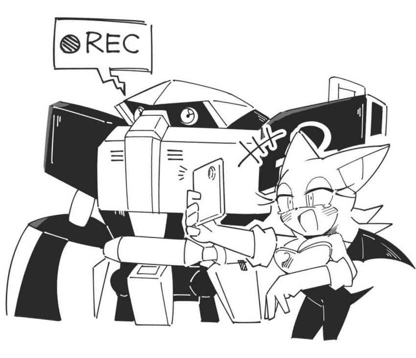 rouge the bat and e-123 omega (sonic) drawn by posojo123