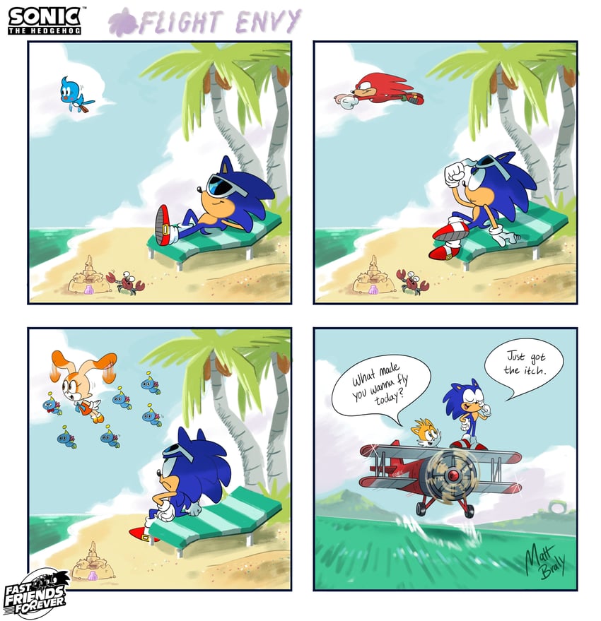sonic the hedgehog, tails, knuckles the echidna, cream the rabbit, neutral chao, and 3 more (sonic) drawn by matt_braly