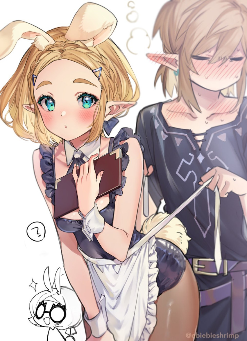 link, princess zelda, and purah (the legend of zelda and 1 more) drawn by shuri_(84k)