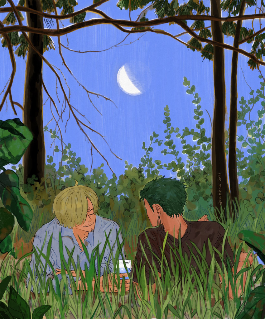 roronoa zoro and sanji (one piece) drawn by feleven