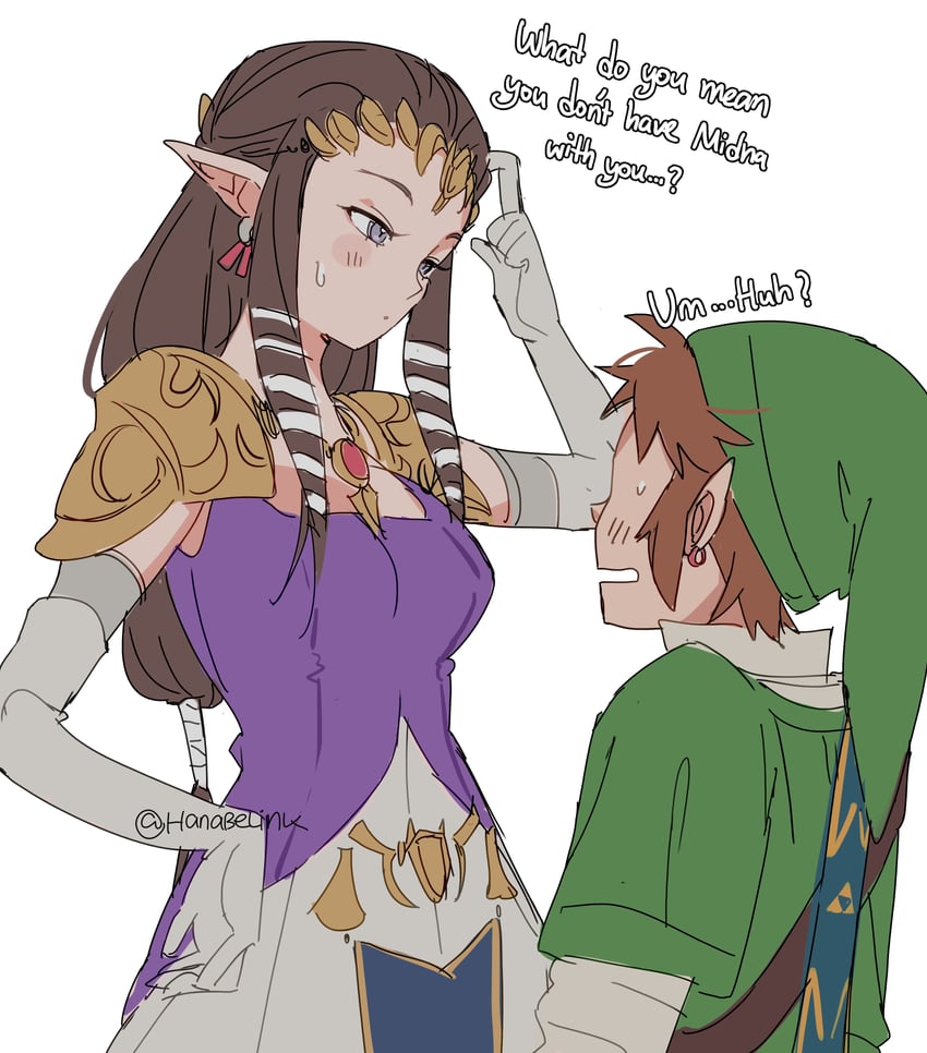 link and princess zelda (the legend of zelda and 2 more) drawn by hanaberin