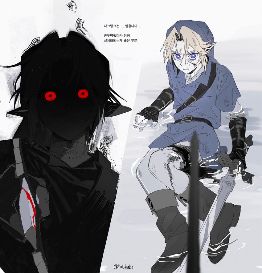 link and dark link (the legend of zelda and 1 more) drawn by hat_babo