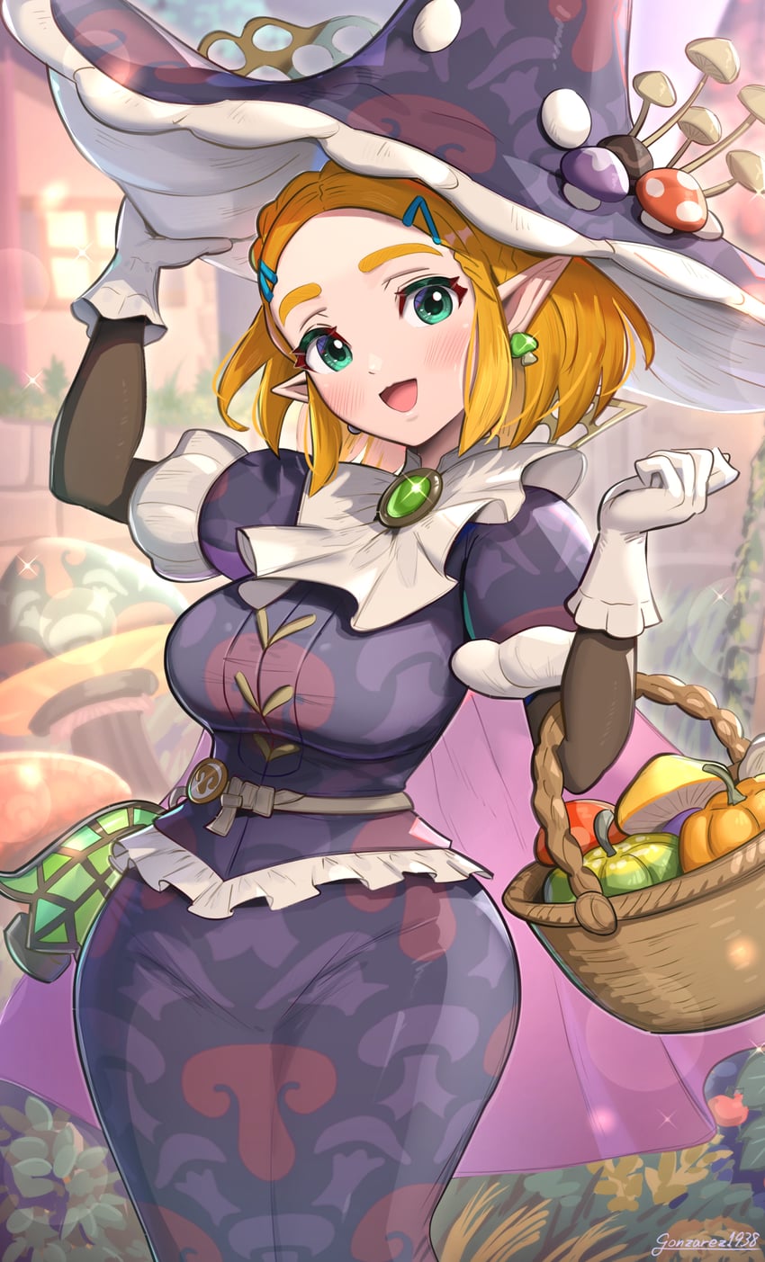 princess zelda (the legend of zelda and 1 more) drawn by gonzarez