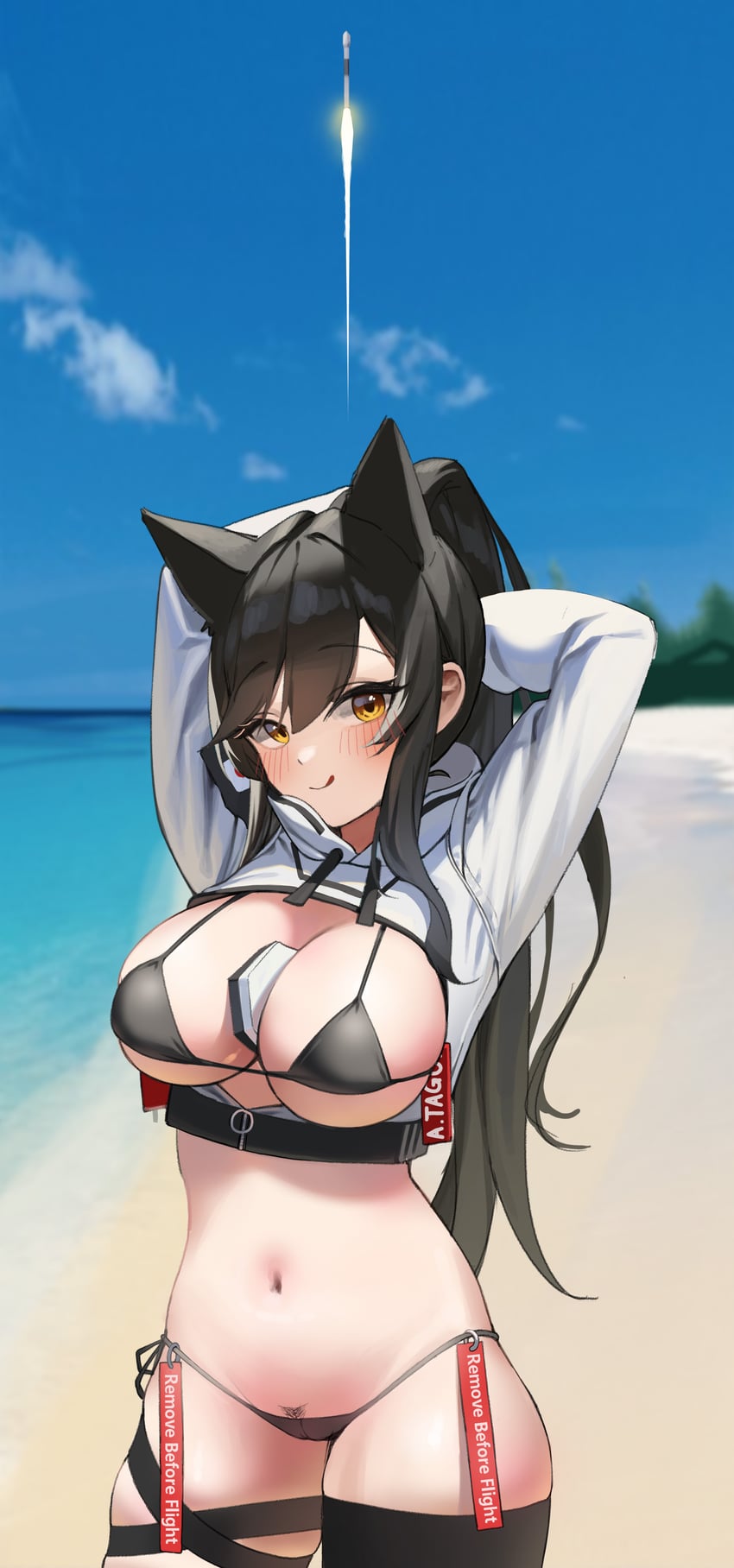 atago and spacex falcon 9 (azur lane) drawn by dong_ji