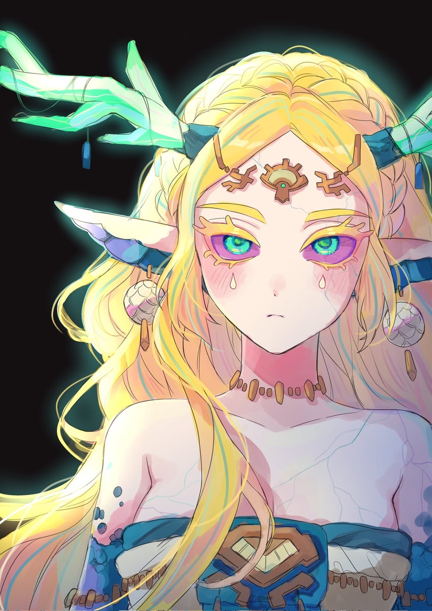 princess zelda (the legend of zelda and 1 more) drawn by didi_en_ilu