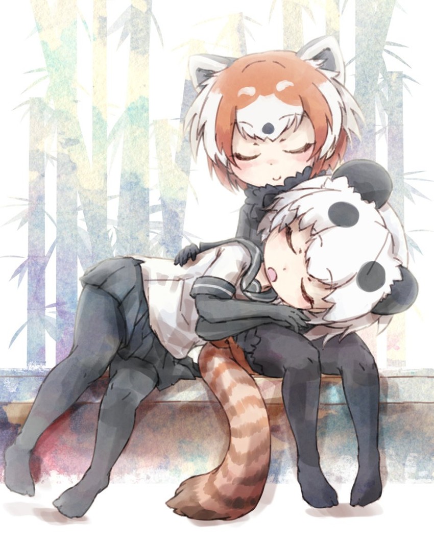 red panda and giant panda (kemono friends) drawn by kolshica