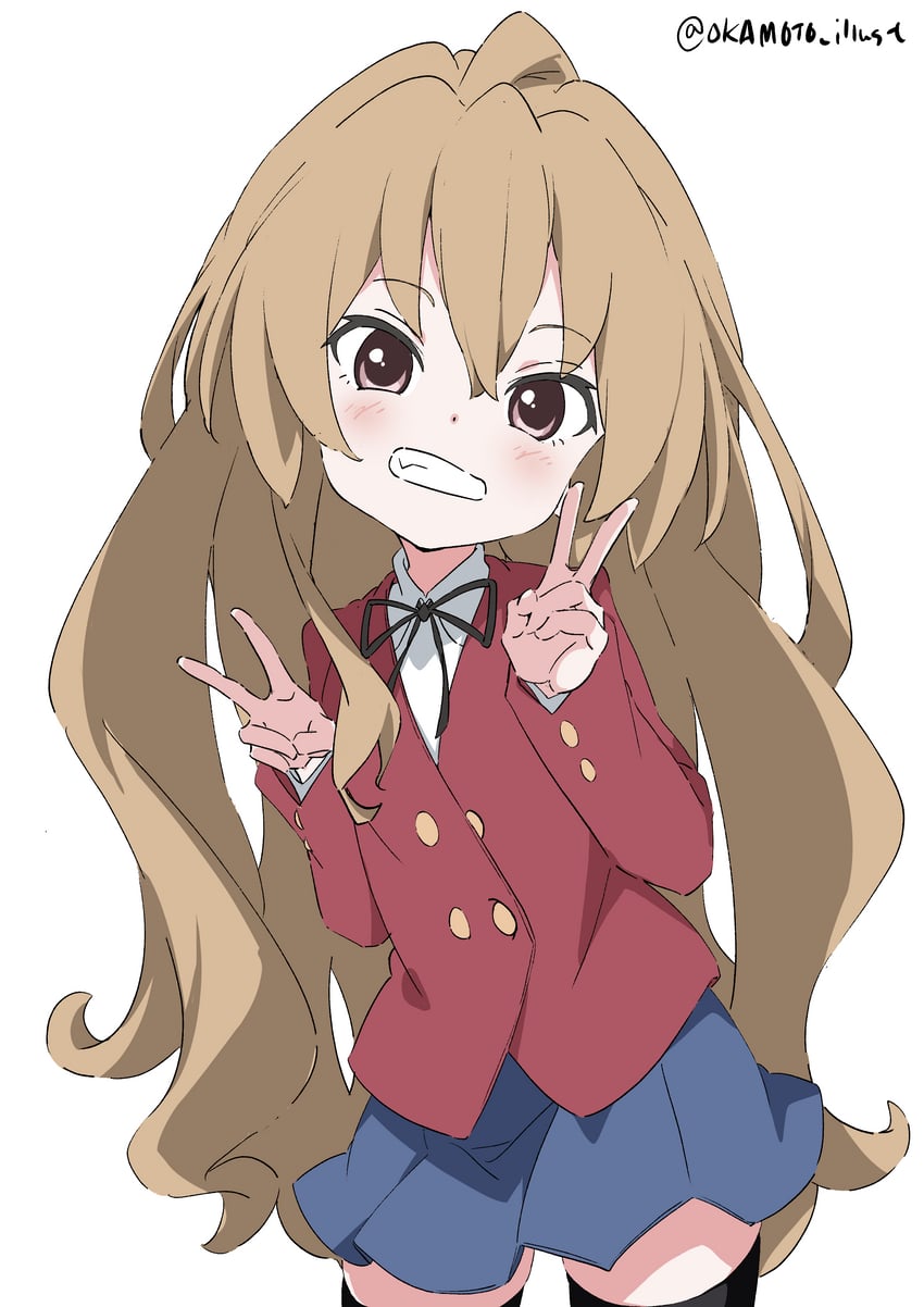 aisaka taiga (toradora!) drawn by white_gorilla_(okamoto)
