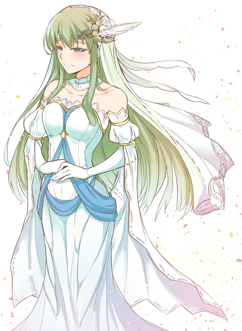 palla (fire emblem and 1 more) drawn by nakabayashi_zun