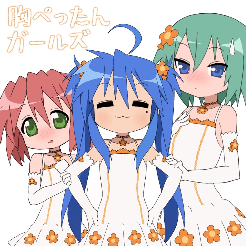 izumi konata, kobayakawa yutaka, and iwasaki minami (lucky star) drawn by wuju59