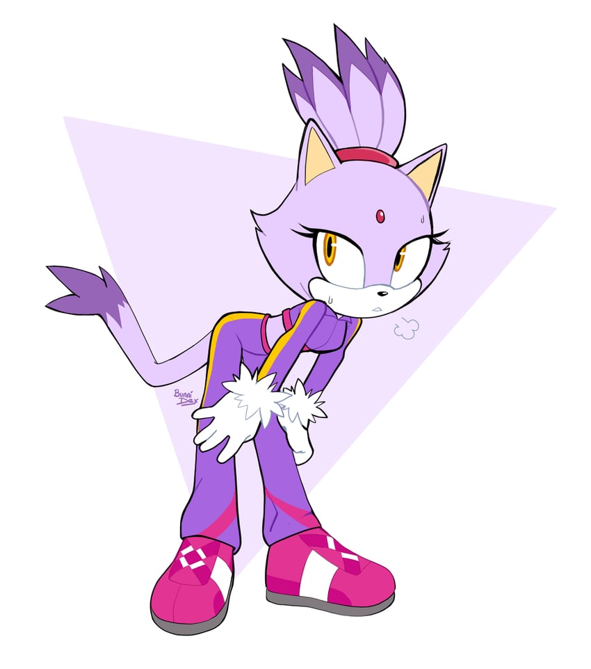 blaze the cat (sonic and 2 more) drawn by dexbunni